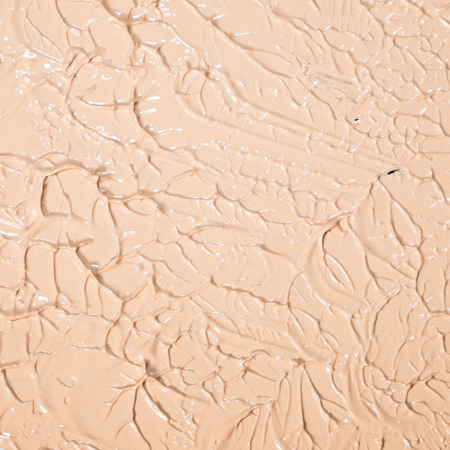 Concealed Weapon Concealer - Sand Party (HC100T)