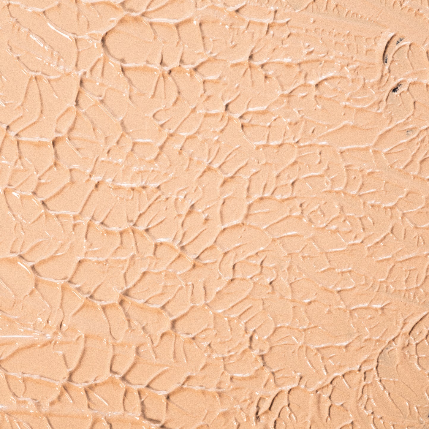 Concealed Weapon Concealer - Classy Cappuccino (HC101T)